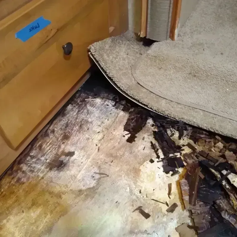 Best Wood Floor Water Damage Service in West Wendover, NV